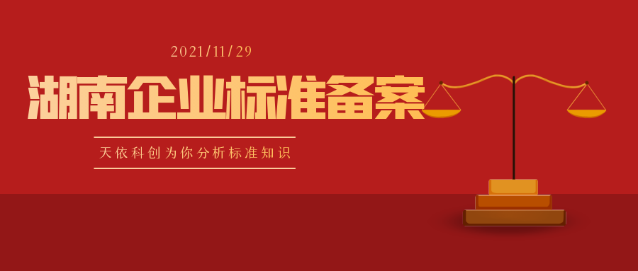 湖南企業(yè)執(zhí)行標準備案怎么做？